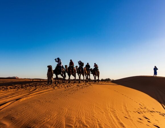 Découverte Authentique : Une Balade à Dos de Chameau à Agadir