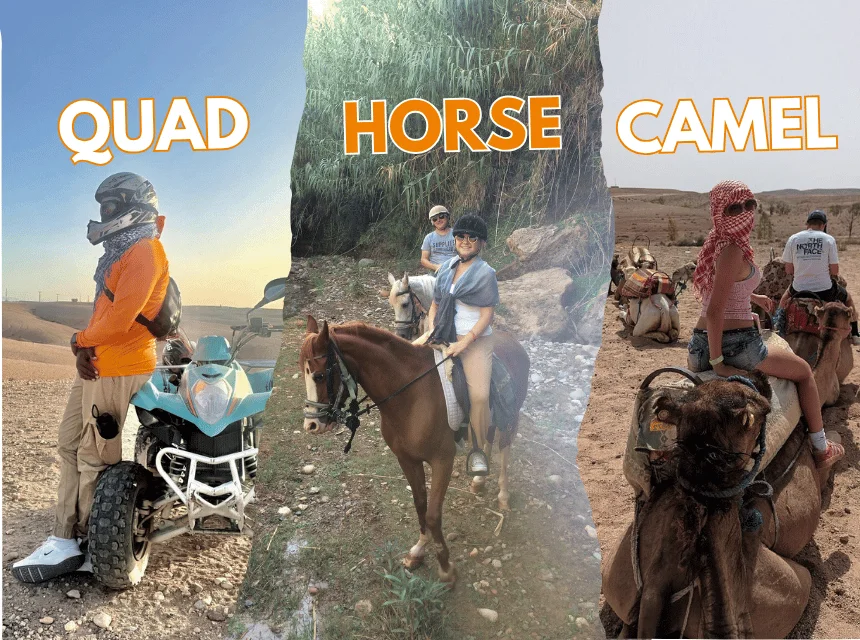 Balade à dos de chameau et aventure en quad à Agadir