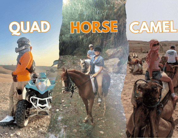 Camel Ride and Quad Biking in Agadir – #1 Best Combo Tour