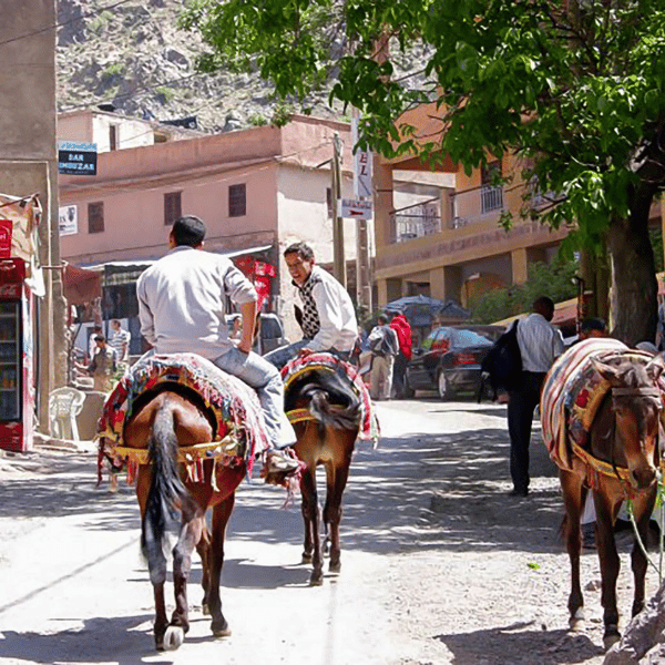 Marrakech to Imlil Day Trip – Atlas Mountains & Berber Villages