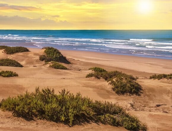 8-Day Grand Desert & Coastal Circuit from Agadir to Marrakech