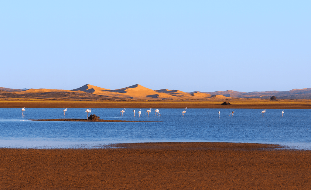 merzouga morocco